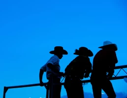 A group of men in cowboy hats.