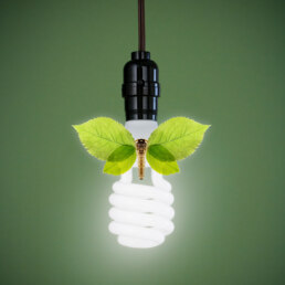 A green light bulb with a moth made of leaves to illustrate green energy