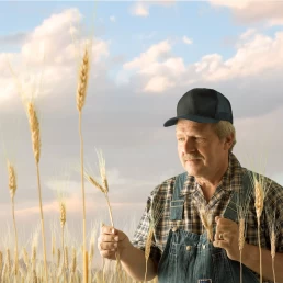 A man in overalls standing in a wheat field, posing for a company advertisment.
