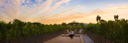 Man on Bocce ball Court in a california vinyard