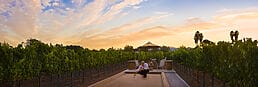 Man on Bocce ball Court in a california vinyard